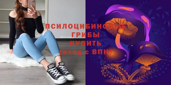 таблы Горняк