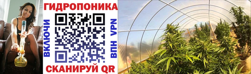 Купить закладки  Курчатов  Конопля OG Kush 